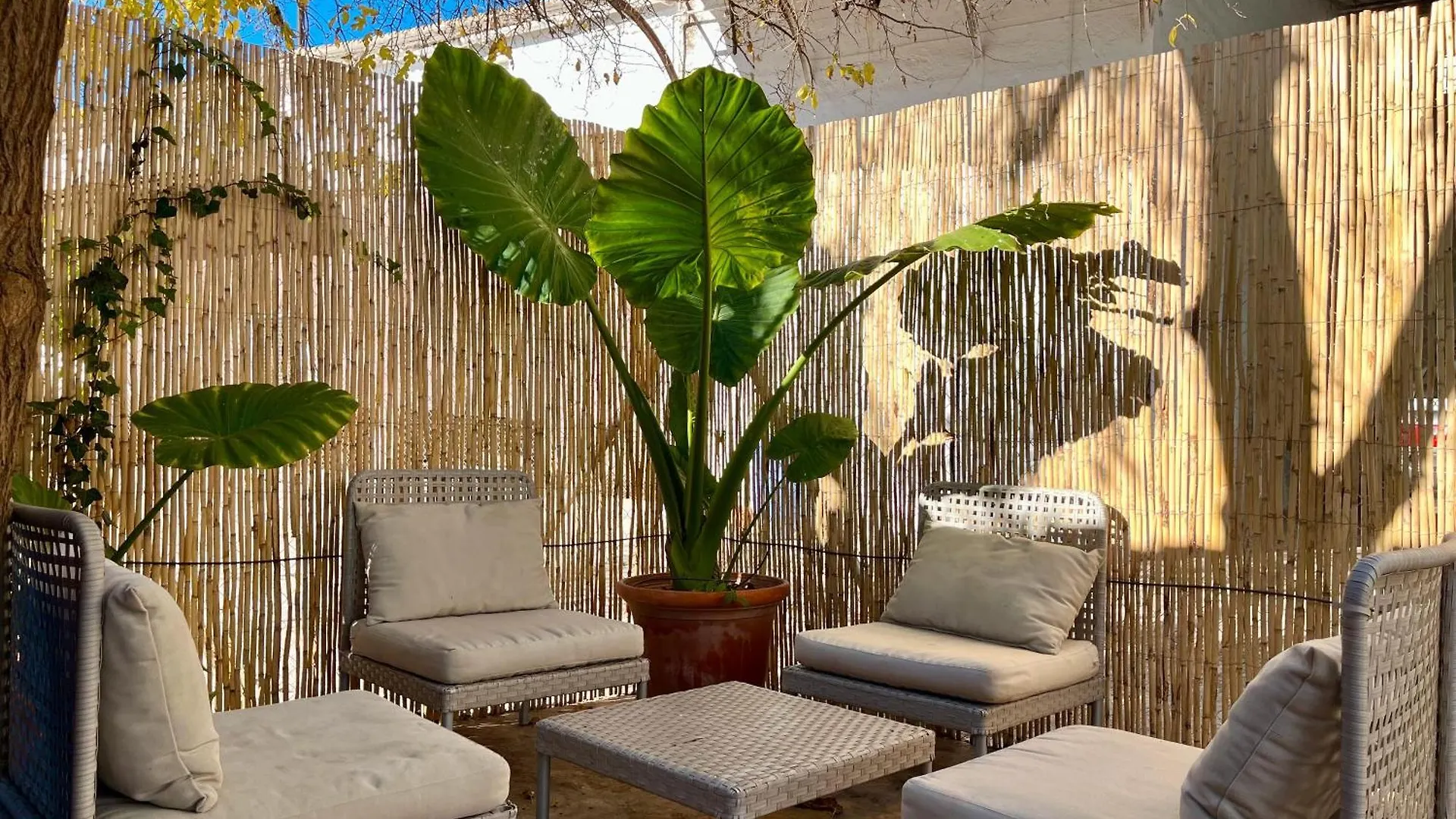 Casa Familiar De Illora Con Piscina Villa Holiday home